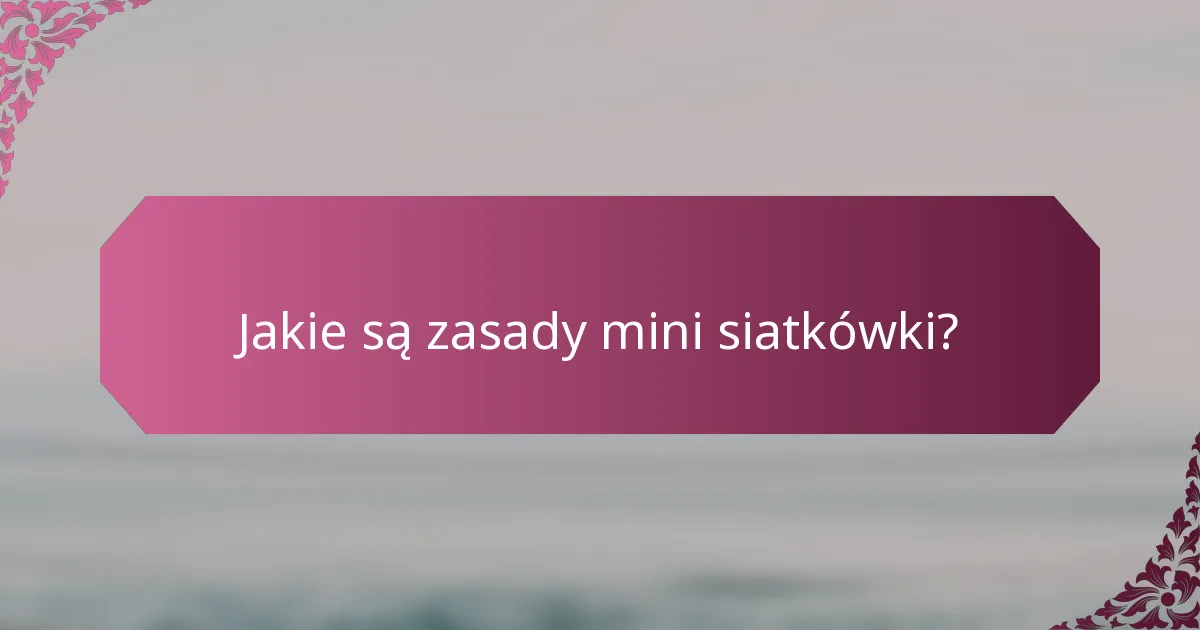 Jakie są zasady mini siatkówki?